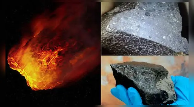 El increíble hallazgo ha dado la vuelta al mundo. El increíble hallazgo ha dado la vuelta al mundo.