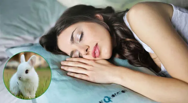 El significado de soñar con un conejo puede variar según diversos factores.