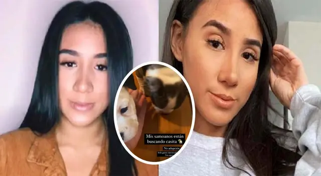 Samahara Lobatón estaría vendiendo perritos en sus redes sociales.