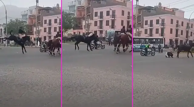 El jinete salió disparado del caballo y acabó en el piso. El jinete salió disparado del caballo y acabó en el piso.