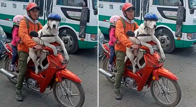 Motociclista salió a pasear con su perro y su hija. Motociclista salió a pasear con su perro y su hija.