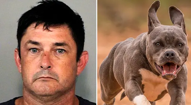 Cartwright permaneció bajo custodia en la cárcel del condado local con una fianza fijada en 100 mil dólares, dijo la oficina del alguacil.