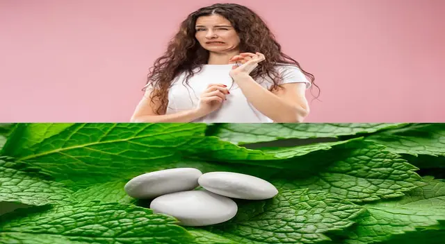 Los chicles de menta son buenos para eliminar el mal sabor.