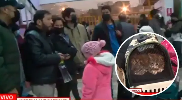 Las personas pernoctaron hasta con sus mascotas en el piso con el objetivo de alcanzar un boleto que les permita salir de la capital. Las personas pernoctaron hasta con sus mascotas en el piso con el objetivo de alcanzar un boleto que les permita salir de la capital.