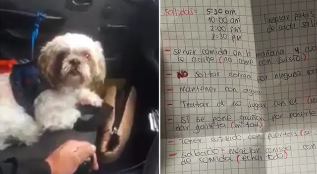 El taxista acogió al peludito en su casa, pero dejó un mensaje en un video de Twitter. El taxista acogió al peludito en su casa, pero dejó un mensaje en un video de Twitter.