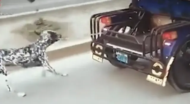 SMP: hombre maltrata a su perro atándolo a mototaxi y arrastrándolo por las calles [VIDEO]