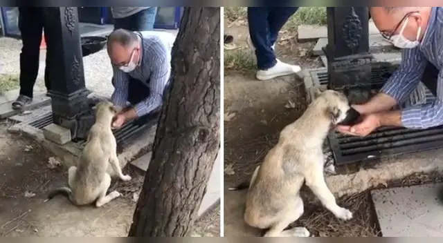La escena ha tocado miles de corazones en la popular plataforma de videos alcanzando más del millón de vistas.