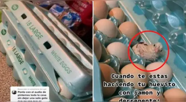 La escena se volvió viral en la popular plataforma de videos llegando a más del millón de vistas.