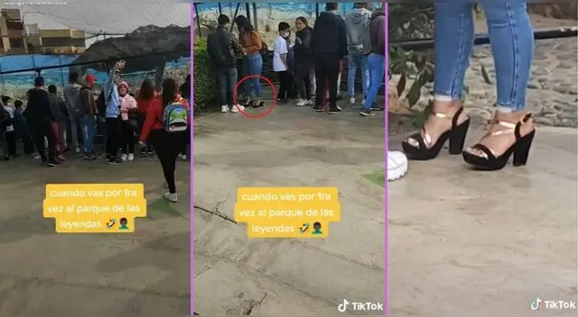 El video se ha vuelto viral en la popular plataforma de videos llegando a más del millón de vistas.