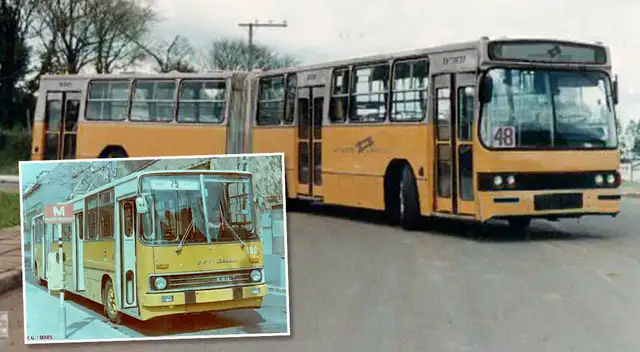 Buses aparecieron con la construcción de la Vía Expresa o "Zanjón".