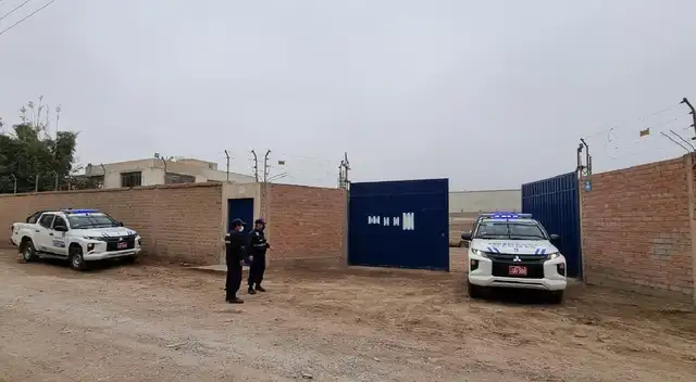 Comas: cinco extranjeros maniatan a vigilante y roban 8 vehículos de depósito de la ATU [VIDEO]