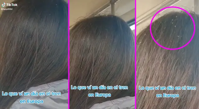 La joven no podía creer lo que estaba ante sus ojos. La joven no podía creer lo que estaba ante sus ojos.