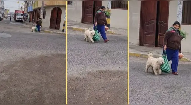 La escena se ha robado miles de suspiros en la popular plataforma de vídeos llegando a miles de vistas.