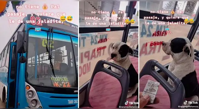 La escena ya tiene 300 mil reproducciones y se ha vuelto viral en las redes sociales.