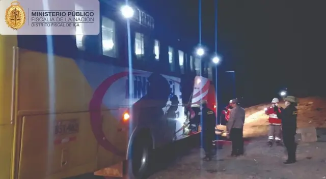 Fiscales hallan especie de ave silvestre dentro de un bus interprovincial Fiscales hallan especie de ave silvestre dentro de un bus interprovincial