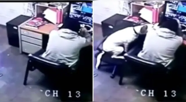 La particular escena se ha vuelto tendencia en la popular plataforma llegando al millón de reproducciones. La particular escena se ha vuelto tendencia en la popular plataforma llegando al millón de reproducciones.