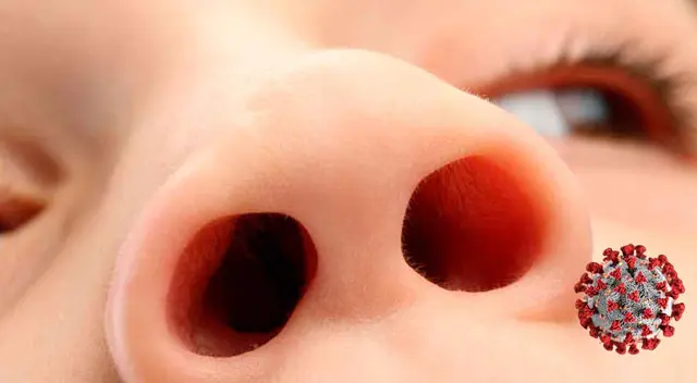 Conoce cuáles son los motivos por el qué los niños están más protegidos del Covid-19 que los adultos.