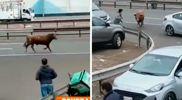 Los ciudadanos temen que genere un accidente de tránsito mortal. Los ciudadanos temen que genere un accidente de tránsito mortal.
