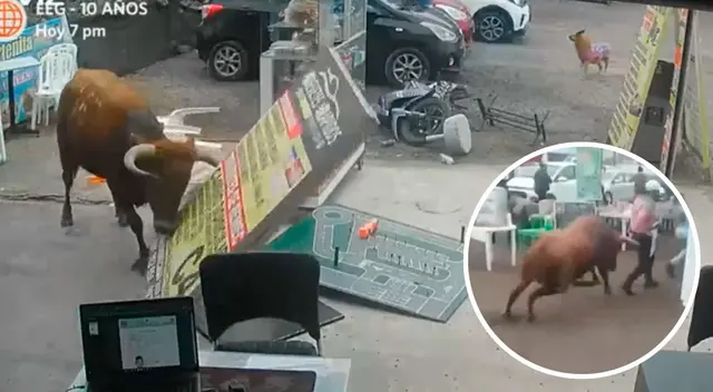 El toro se escapó de un camión que lo estaba transportando hacia el sur de la capital y recorrió un aproximado de 2 kilómetros. El toro se escapó de un camión que lo estaba transportando hacia el sur de la capital y recorrió un aproximado de 2 kilómetros.