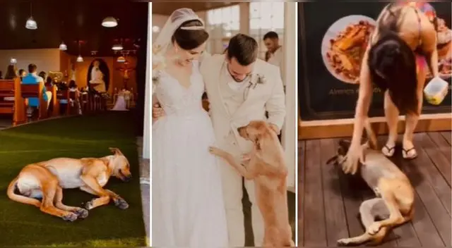 La escena ha enternecido a miles de usuarios en la popular plataforma de vídeos.