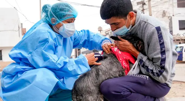 Es importante recordar que el registro Municipal de Animales domésticos tiene por finalidad identificar, inscribir y llevar el control de la población de animales domésticos en la Provincia de Lima Es importante recordar que el registro Municipal de Animales domésticos tiene por finalidad identificar, inscribir y llevar el control de la población de animales domésticos en la Provincia de Lima