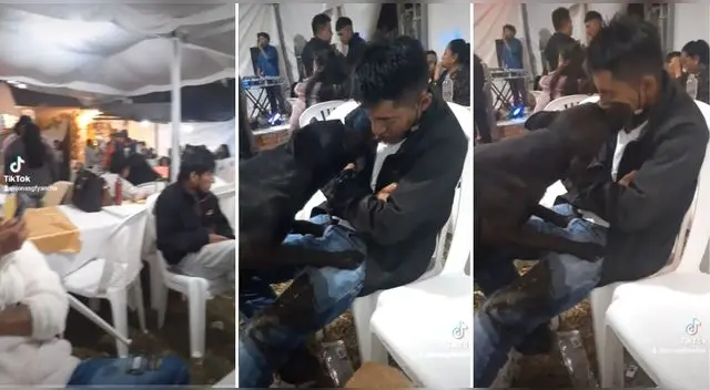 La peculiar escena ha hecho reír a miles de cibernautas en la popular plataforma. La peculiar escena ha hecho reír a miles de cibernautas en la popular plataforma.