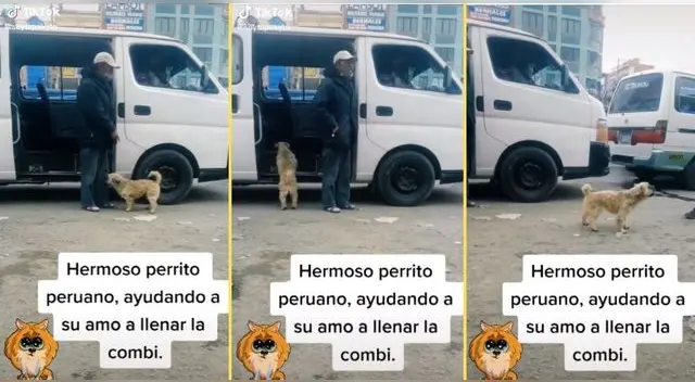 La escena ha llamado la atención de miles de cibernautas en la popular plataforma de videos.