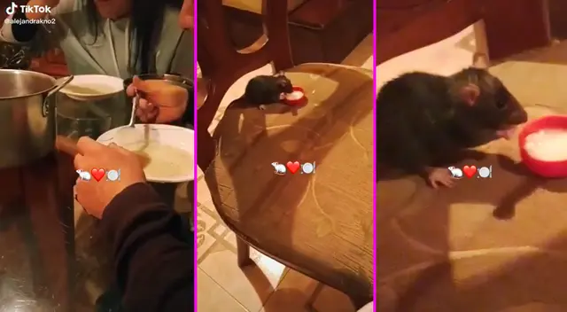 La familia invitó a la ratita a formar parte de la mesa y comieron junto a ella.