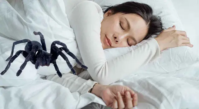 Soñar con arañas puede ser símbolo de éxtio y prosperidad. Conoce aquí sus diferentes significados.