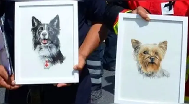 Triste. Amos perritos ayudaban a la entidad en labores de rescate y ayuda psicológica a personas.