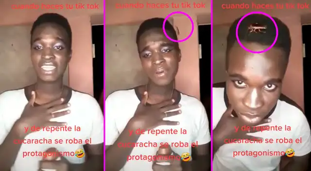 El joven no se había dado cuenta que en su cabeza había una cucaracha. El joven no se había dado cuenta que en su cabeza había una cucaracha.
