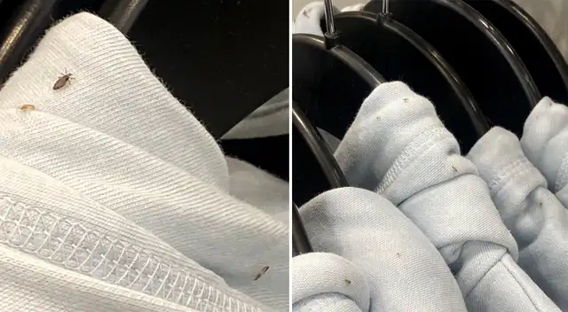 Las fotos tuvieron una repercusión más allá de lo viral hasta el punto que la tienda cerró. Las fotos tuvieron una repercusión más allá de lo viral hasta el punto que la tienda cerró.