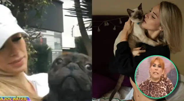 La salud de los animalitos está muy declinada, y Magaly Medina lo lamentó.