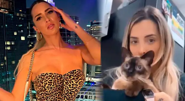 Macarena Gastaldo preocupada por la salud de su gatito que está al borde de la muerte. Macarena Gastaldo preocupada por la salud de su gatito que está al borde de la muerte.