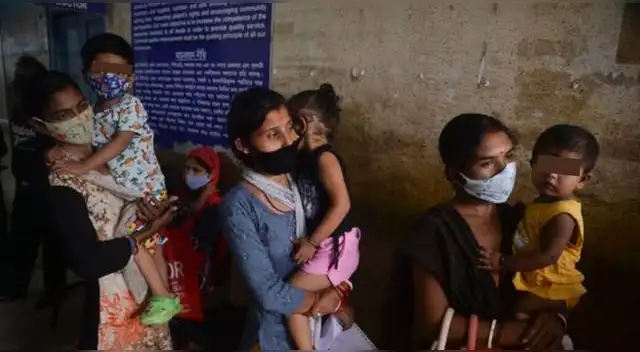 India viene preocupando al mundo tras emitir una alerta "circular" por la fiebre del tomate. India viene preocupando al mundo tras emitir una alerta "circular" por la fiebre del tomate.