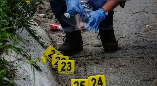 Los delincuentes balearon al dueño de la tienda de ropa y su hijo, quienes lograron sobrevivir a los impactos. Los delincuentes balearon al dueño de la tienda de ropa y su hijo, quienes lograron sobrevivir a los impactos.