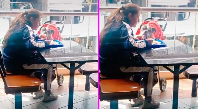 La señora compró un plato de comida y compartió con su mascota. La señora compró un plato de comida y compartió con su mascota.