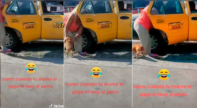 El video se ha vuelto viral en las redes sociales.