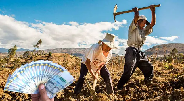 El apoyo monetario se da en medio de la crisis por la compra de fertilizantes. El apoyo monetario se da en medio de la crisis por la compra de fertilizantes.