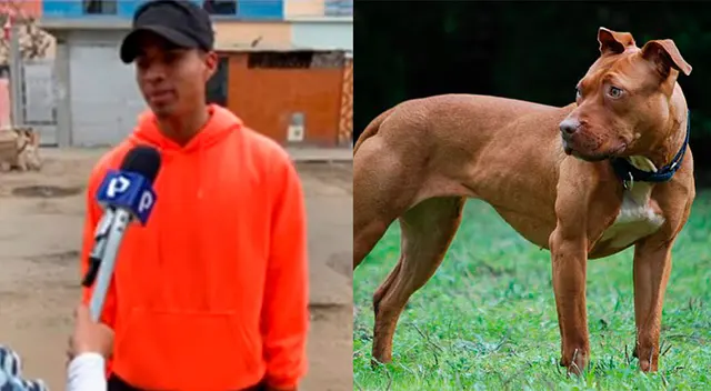 Los vecinos del distrito de San Martín de Porres denunciaron el hecho y exigieron tomar medidas ante el caso.