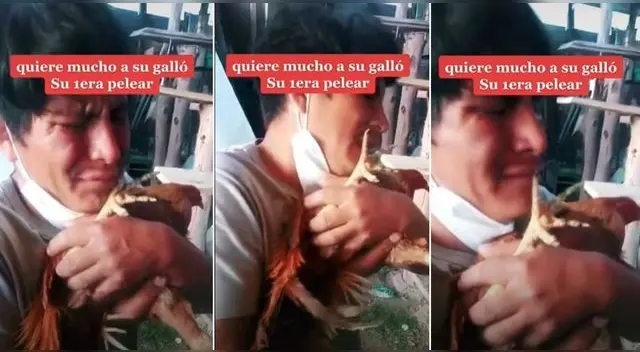 La escena del hombre llorando por su gallito se ha vuelto viral en TikTok llegando a tener miles de vistas.