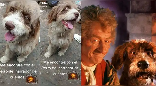 La escena se volvió viral en las redes sociales.