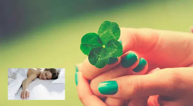 Conce aquí las diferentes interpretaciones de soñar con un trébol.