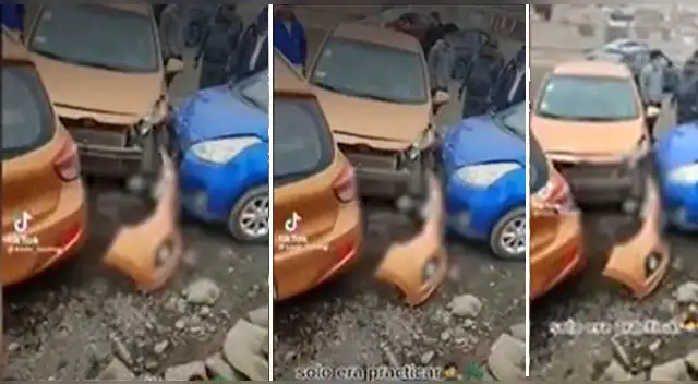 La escena se ha vuelto viral en las redes sociales.