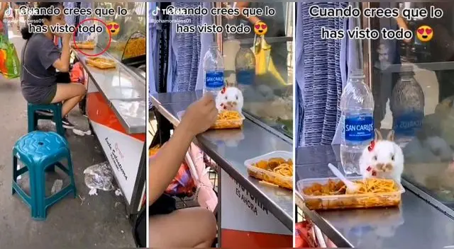 La joven peruana estaba comiendo chanfainita en carretilla junto a su conejito y se volvieron tendencia en TikTok.