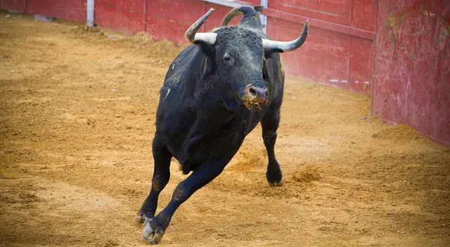 Joven de 18 años siendo corneado por toro embravecido