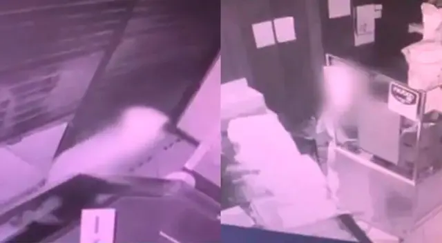 Las cámaras de seguridad del local captaron el preciso momento donde estos pequeños ingresan al establecimiento. Las cámaras de seguridad del local captaron el preciso momento donde estos pequeños ingresan al establecimiento.