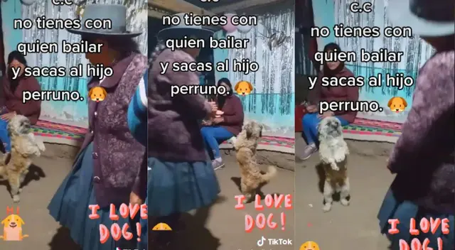 Los perritos no se quedan atrás con los pasos de baile.