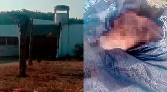 El ciudadano Andy Ipanaqué denunció este hecho ocurrido en el centro poblado de San Isidro, distrito de Corrales. El ciudadano Andy Ipanaqué denunció este hecho ocurrido en el centro poblado de San Isidro, distrito de Corrales.