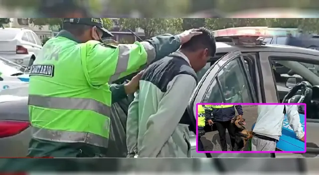 Delincuente subiendo a patrullero junto a su mascota Delincuente subiendo a patrullero junto a su mascota